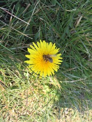 Austere April Advances (even though it's mid March.....). Frugaleers Unite