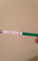 OPK experts come hither...