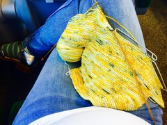 June 2016 #7 - We're still waiting for the second trimester "bloom" but healthy babies and stronger kicks all around!!