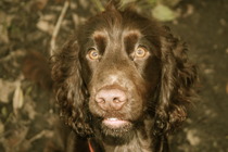 The Brave Babes Battle Bus - Battling The Wicked Wine Witch, One Day At A Time!