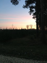 Running thread part 8