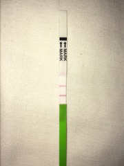 Positive OPK?