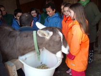 Introducing children to the great English countryside with Summerdown Naturally
