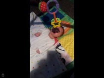 March 2016: the one where Indomitable gives birth...