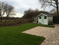 Shady characters - a permanent home for shade garden suggestions!