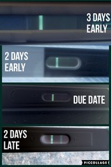 this is why you should wait to test!