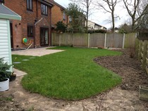 Shady characters - a permanent home for shade garden suggestions!