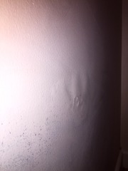 Mould on bedroom wall