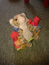 Lost toy