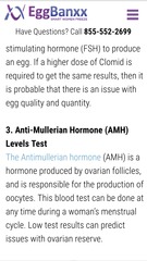 talk to me about eggs