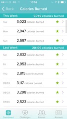 MFP to lose weight - Part 4