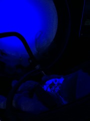 Find out what Mumsnetters thought of the Stokke Trailz pushchair! NOW CLOSED