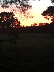 Running thread part 8