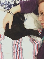 Rescue cat - can you request a non-hunter?