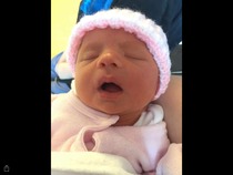 March 2016: the one where Indomitable gives birth...