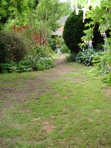 Dogs.......and replacing area of lawn!