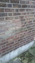 Advice on damp proofing a house before renting it out