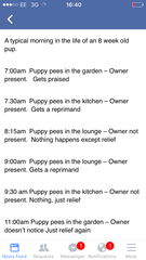 Housetraining Woes!!
