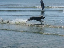 The Brave Babes Battle Bus - Battling The Wicked Wine Witch, One Day At A Time!