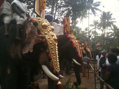 India with kids - could someone in the know have a look at our itinerary