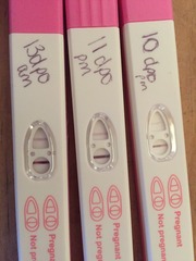 The craziness that is TTC after stopping the pill. On this thread we have 100 day cycles, do weeks of opks and send ovia into a fit with our ever changing fertile windows! Welcome.
