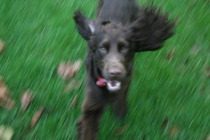 The Brave Babes Battle Bus - Battling The Wicked Wine Witch, One Day At A Time!