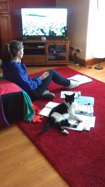 The Brave Babes Battle Bus - Springing Into Some Warmer Weather, Staying Sober Togeher