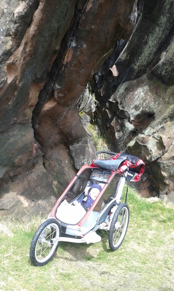 Thule Cougar feedback thread – chance to win a Sapling Elite Child Carrier for non-testers NOW CLOSED