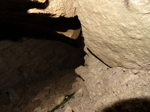 Zombie Continues Her Shuffle Into Spring