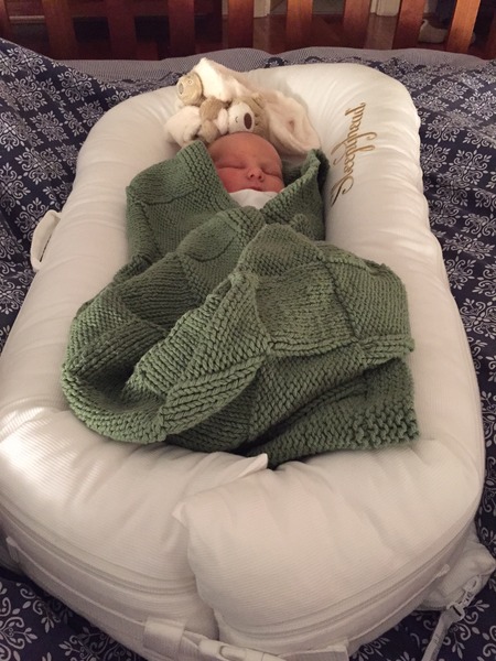 July 2016 (7) We're halfway to meeting our little bubs