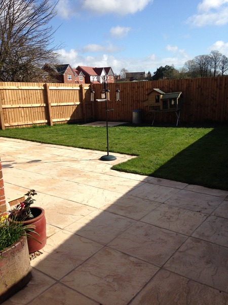 Shady characters - a permanent home for shade garden suggestions!