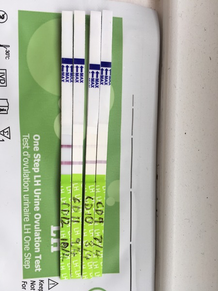 Back to SQUARE ONE CD1! Anyone want to spend April with me?!