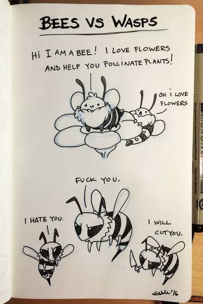 To get rid of the bees (humanely)