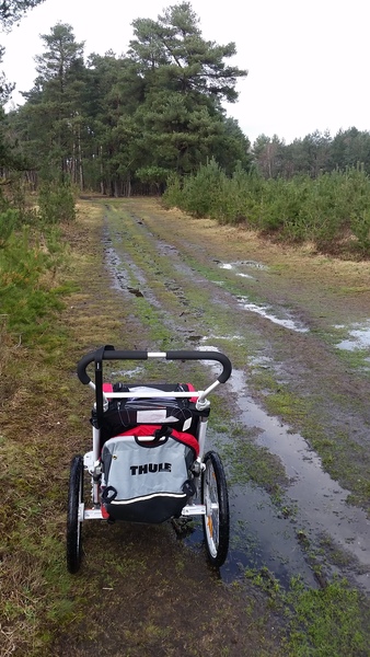 Thule Cougar feedback thread – chance to win a Sapling Elite Child Carrier for non-testers NOW CLOSED