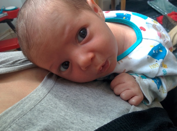 March 2016: the one where Indomitable gives birth...