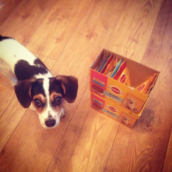 Find out what Mumsnetters thought of the Pedigree® Dog Food Range. £300 voucher prize draw for testers’ feedback. NOW CLOSED