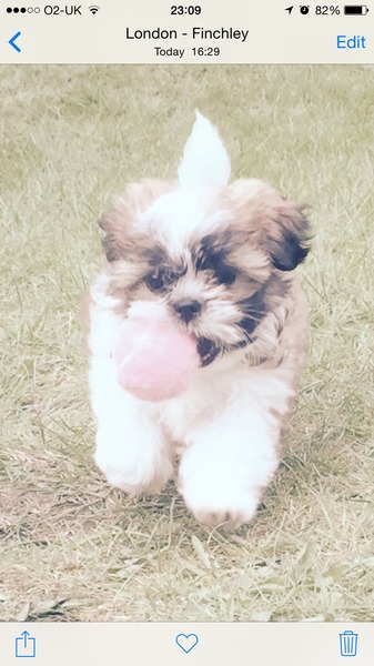 The Brave Babes Battle Bus - Springing Into Some Warmer Weather, Staying Sober Togeher