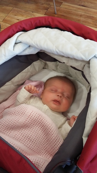 March 2016: the one where Indomitable gives birth...