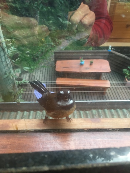 I've left the children (8 and 4 respectively ) home alone.