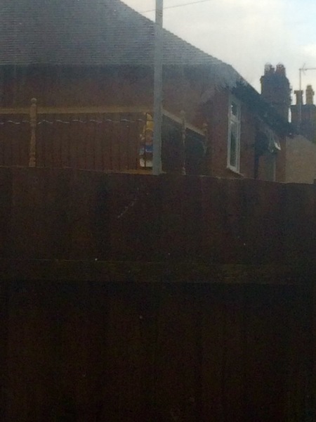 There's a gnome staring through my kitchen window over a 6ft high fence...