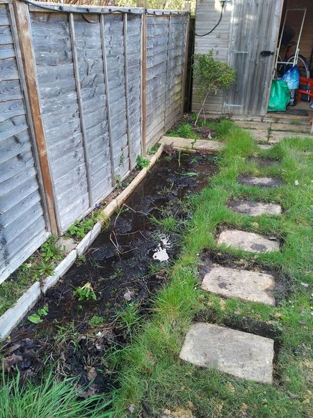 Boggy garden....help?!