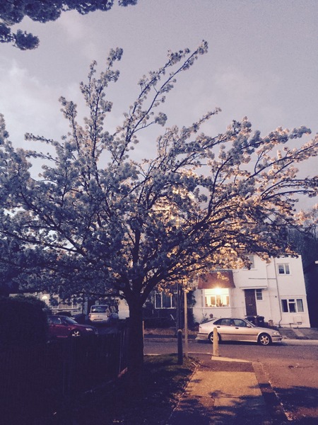 The Brave Babes Battle Bus - Springing Into Some Warmer Weather, Staying Sober Togeher