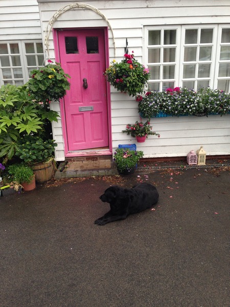 What colour is your front door?
