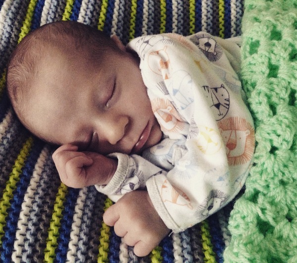 March 2016: the one where Indomitable gives birth...