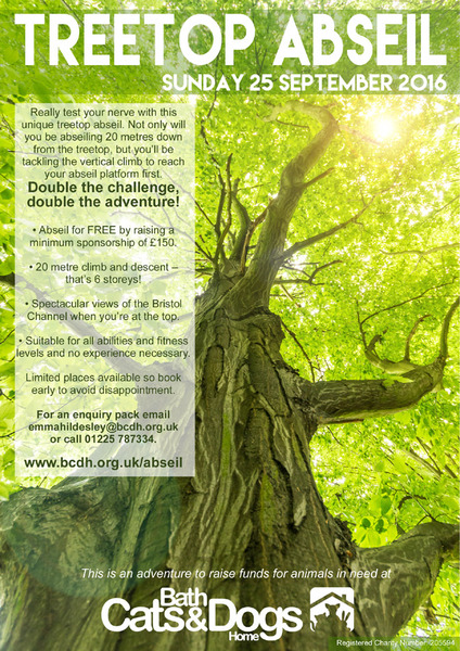 Treetop Abseil