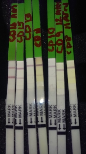 Back to SQUARE ONE CD1! Anyone want to spend April with me?!