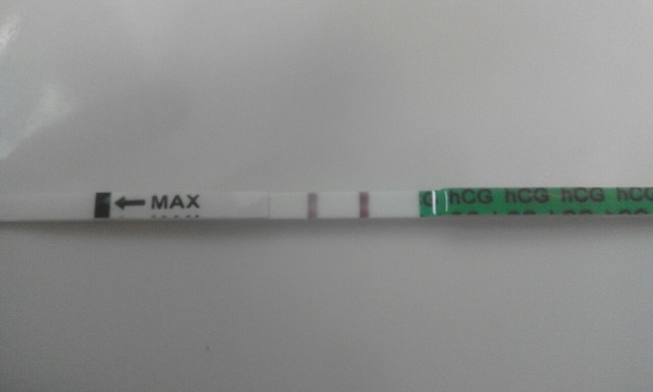 The one where we all get and stay diffed, and we're brooking no argument about it