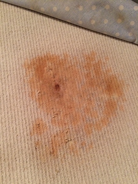 New cream carpet ruined - any cleaning suggestions please?