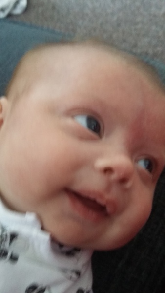 March 2016: the one where Indomitable gives birth...