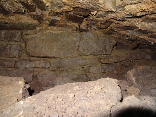 Zombie Continues Her Shuffle Into Spring